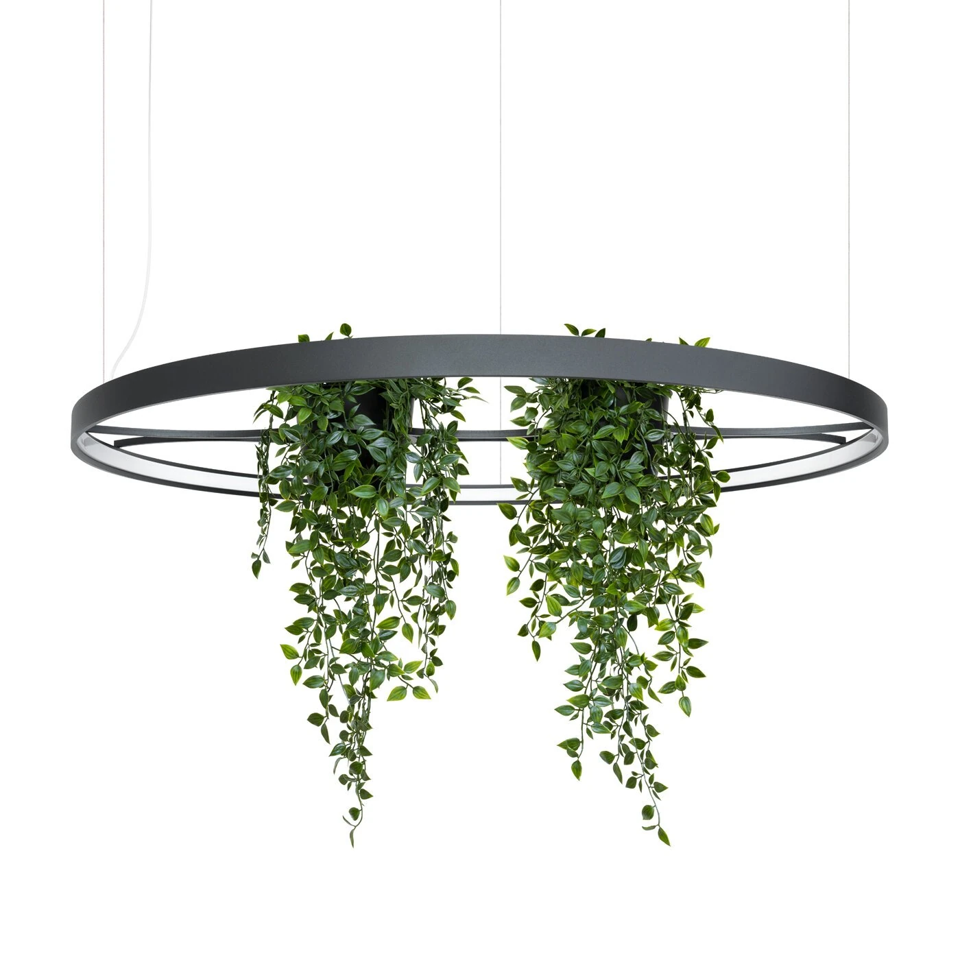 Pakabinamas LED šviestuvas 110 cm – apvalus, juodas, su augalų erdve