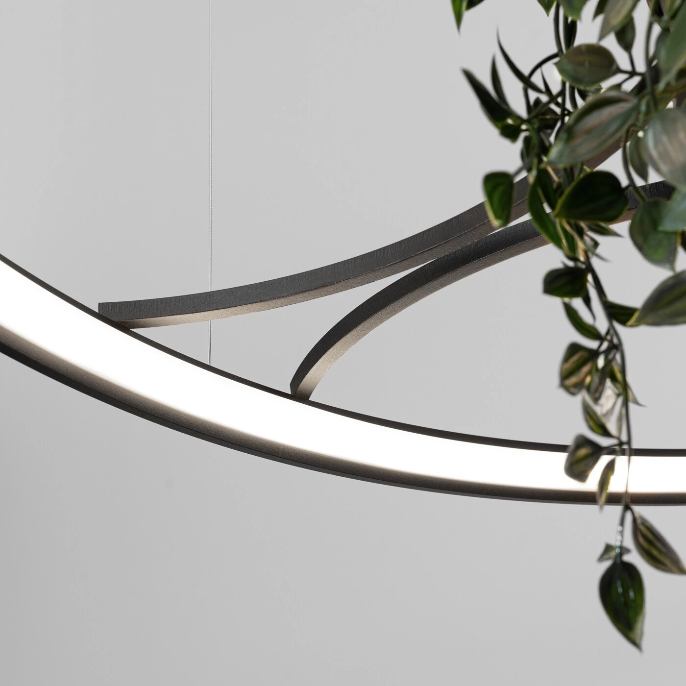 Pakabinamas LED šviestuvas 110 cm – apvalus, juodas, su augalų erdve