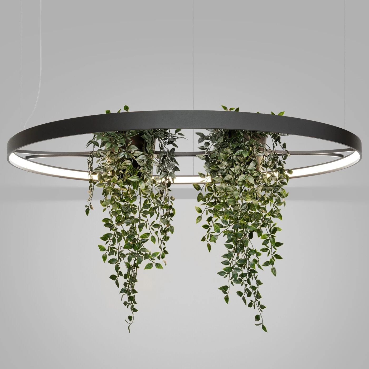 Pakabinamas LED šviestuvas 110 cm – apvalus, juodas, su augalų erdve