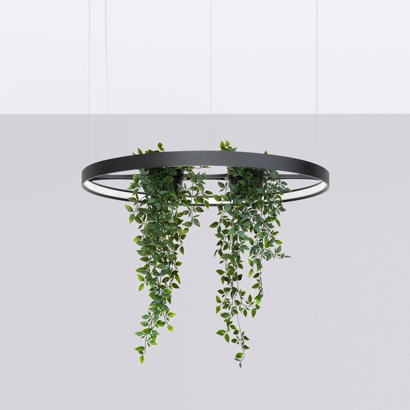 Pendant LED light 33W – round, black, plant-ready design