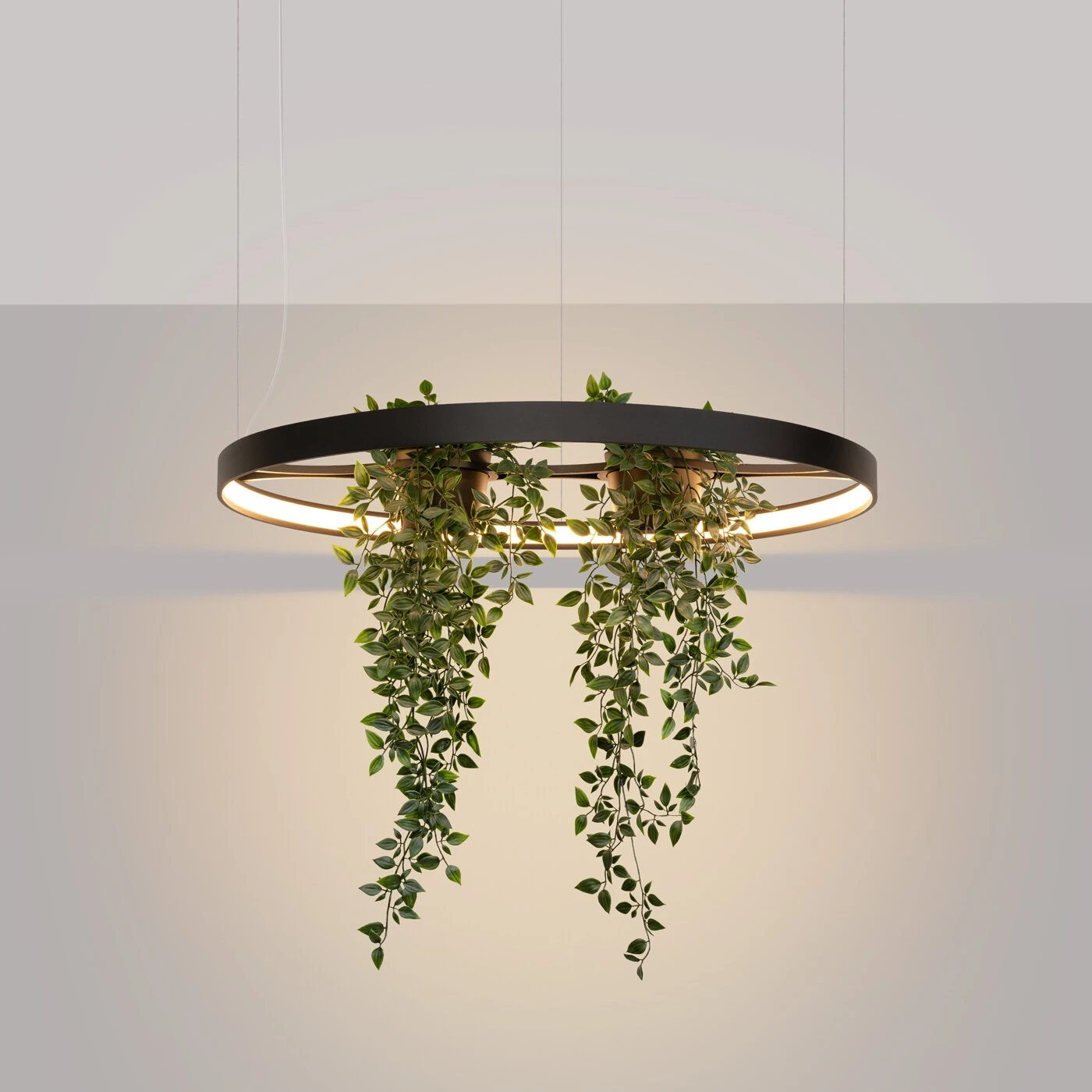 Pendant LED light 33W – round, black, plant-ready design