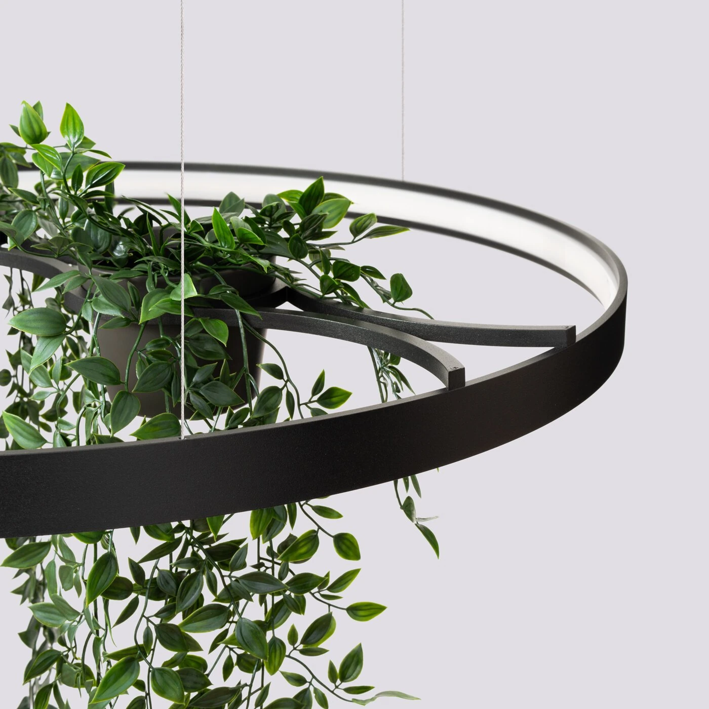 Pendant LED light 33W – round, black, plant-ready design
