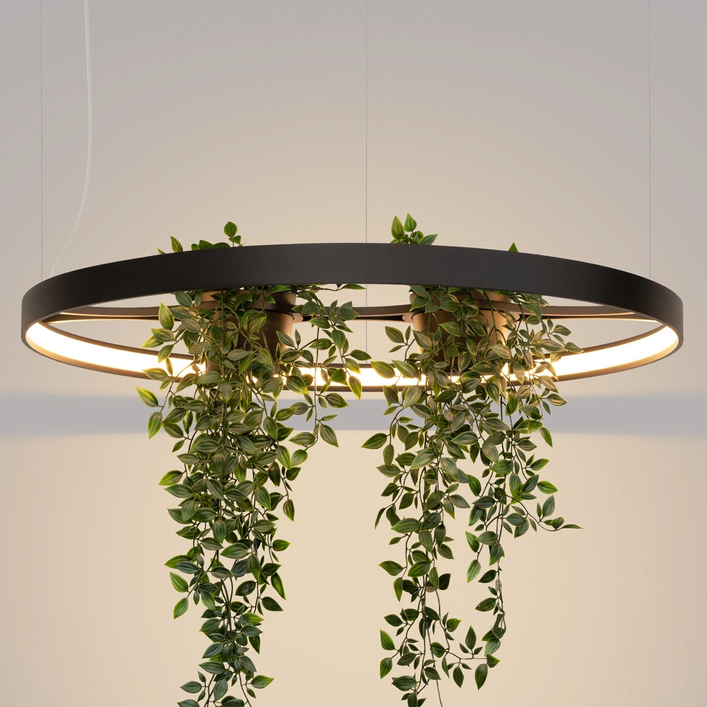 Pendant LED light 33W – round, black, plant-ready design