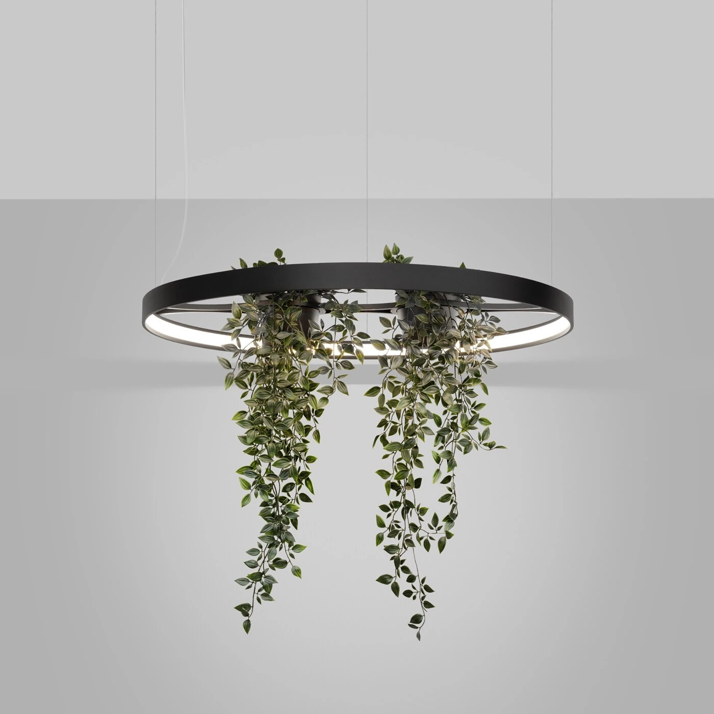 Pendant light 78 cm/33W – round, black, plant feature
