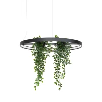 Pendant light 78 cm/33W – round, black, plant feature - Image 2
